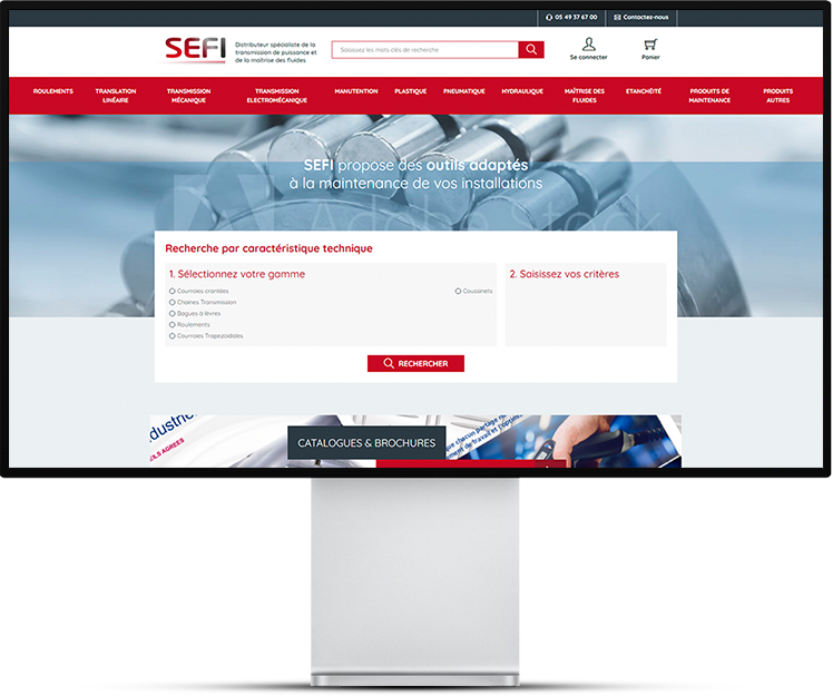 Aperçu site web sefi