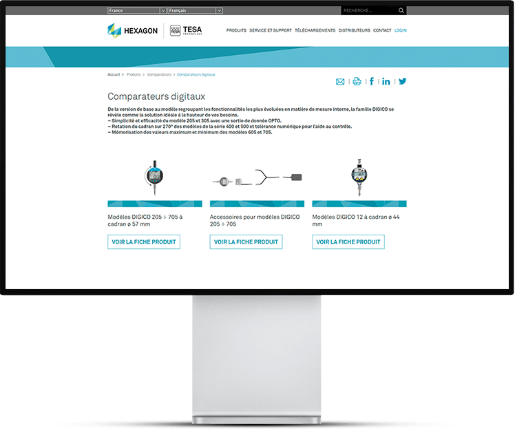 aperçu site web tesa